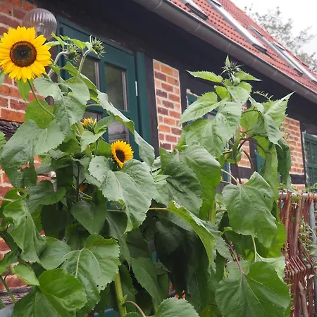 Apartamento Hof-landart